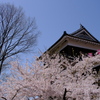 城　青空　さくら