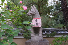 お狐さま