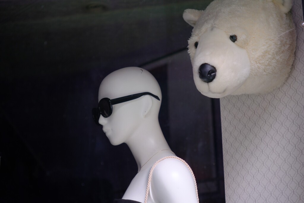 Show Window Yoyogi