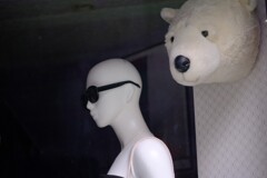 Show Window Yoyogi