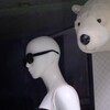 Show Window Yoyogi