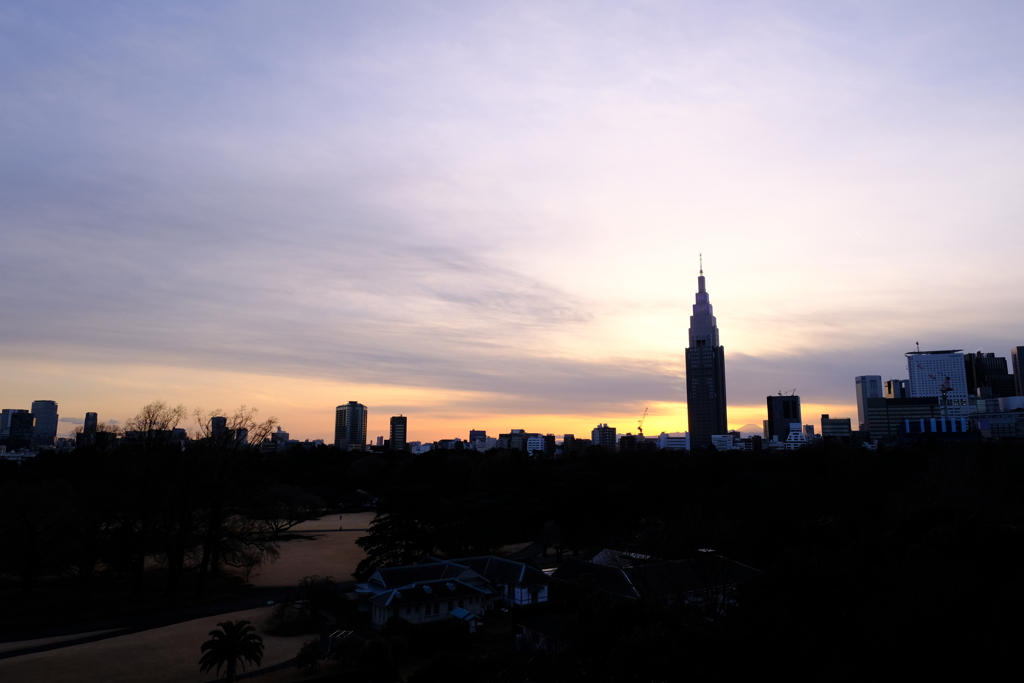 新宿御苑遠景