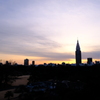 新宿御苑遠景