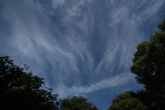 秋の青空