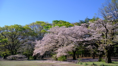 やっと青空