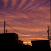夏至の夕焼け