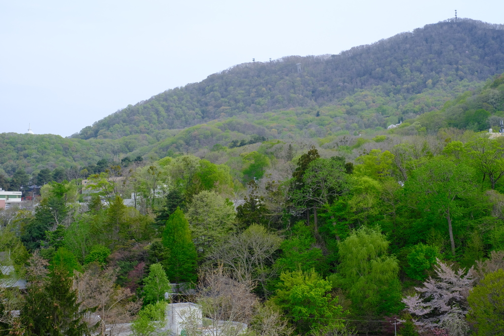 春の藻岩山