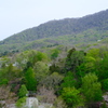 春の藻岩山