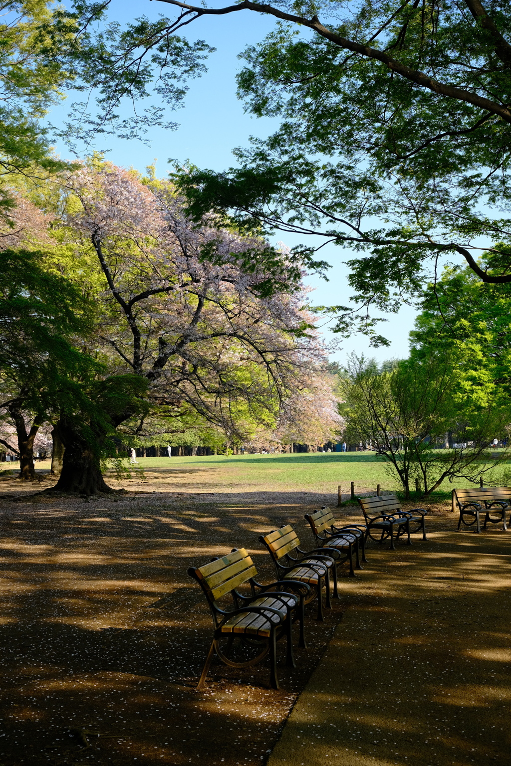 Jardin du Luxembourg ?