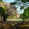 Jardin du Luxembourg ?