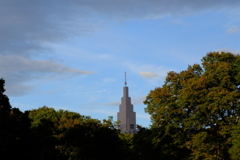 秋の青空