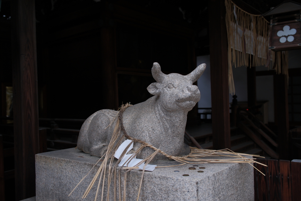 京都ゑびす神社　神牛