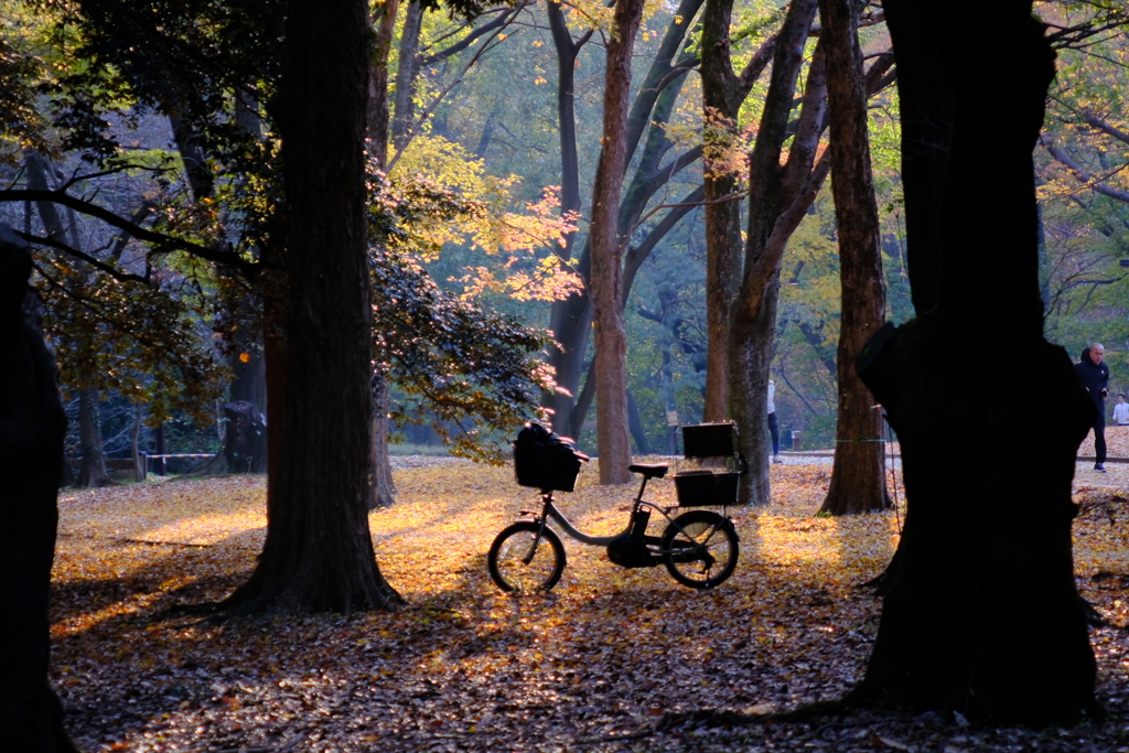 自転車