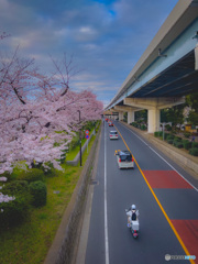 D95D5293-81C9-4B7F-96E1-18D7150B382A2022