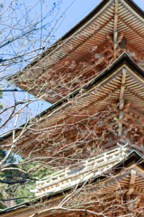 少しずつ春が来る