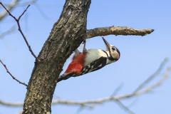 鶴見花博公園の思い出②