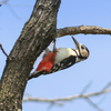 鶴見花博公園の思い出②