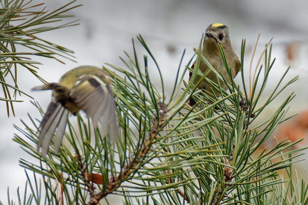 こんな時に開きやすいです！