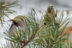 こんな時に開きやすいです！