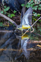 リフレクション③