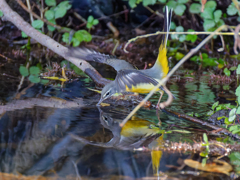 リフレクション②