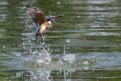 リターンウイズノーフィシュ②