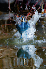 水鏡