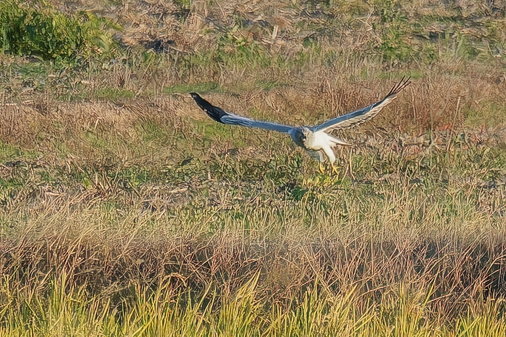ハイチュウの飛び出し