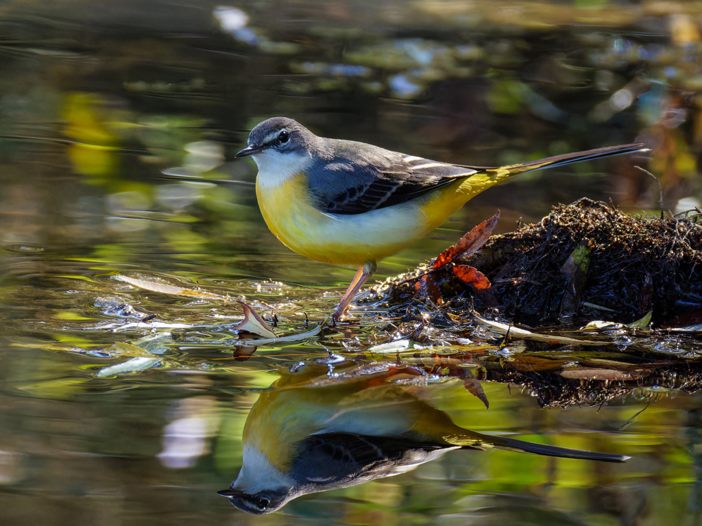 リフレクション④