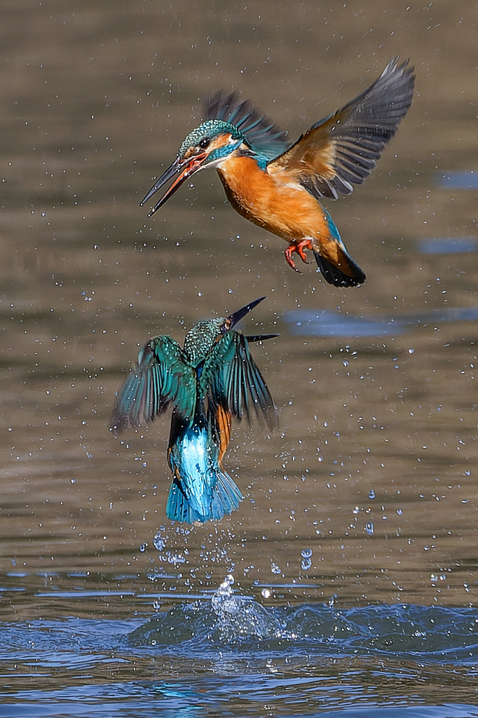 これから始まる壮烈なバトル