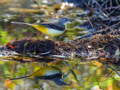 リフレクション①