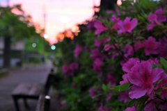夕暮れの景色
