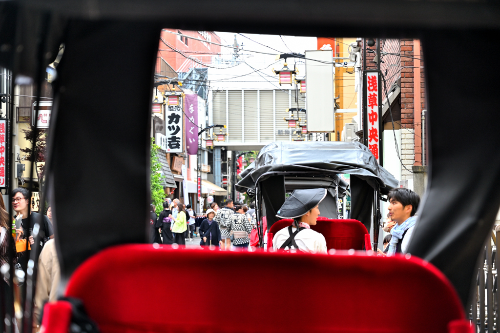 毛氈の景色