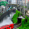雨の鉄路