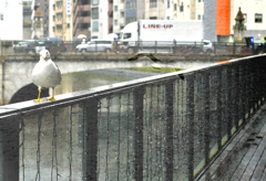 神田川