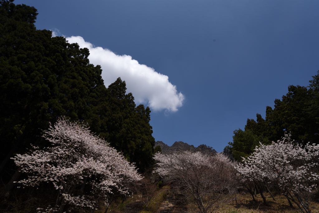 白雲とまる