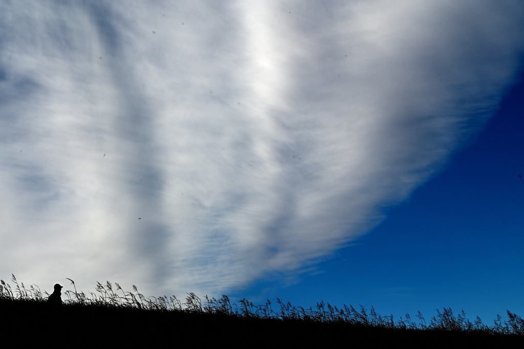 みあげる空