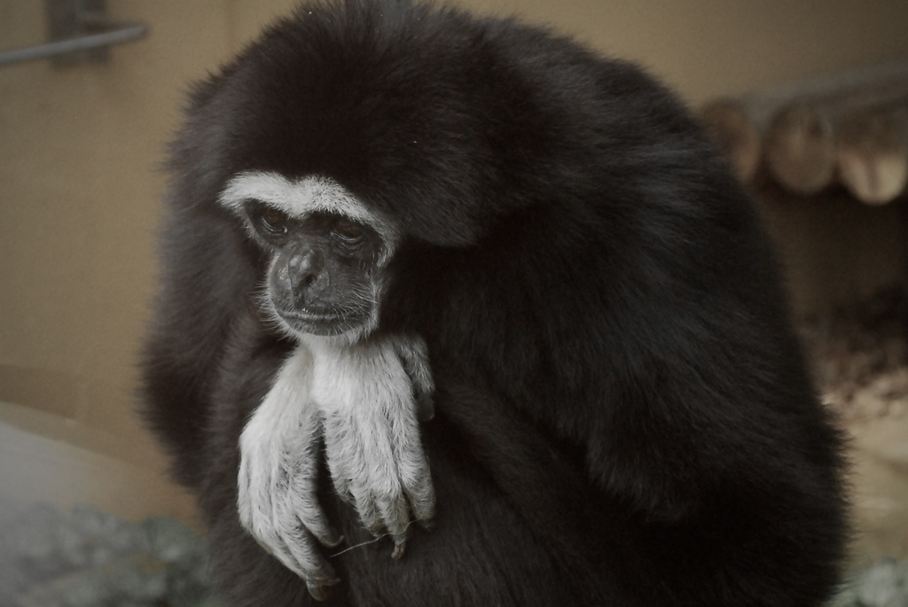 philosophical,brutal notion