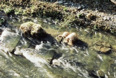 流れ