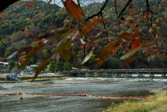 秋？の嵐山　その2