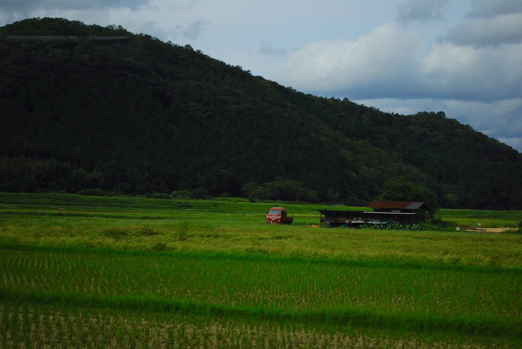 車窓から、田園風景