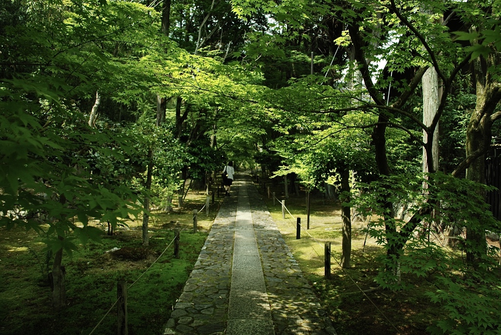 御拝道