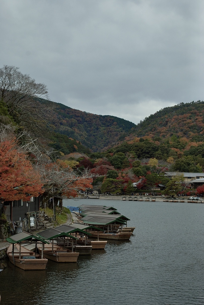 秋？の嵐山