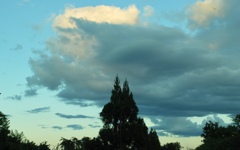 夕方