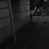 散歩