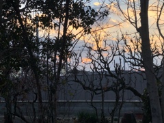 大晦日の夕方