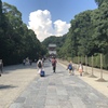 あの入道雲は何処から