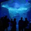 新江ノ島水族館