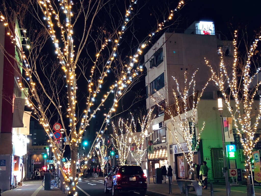 Merry Christmas‼