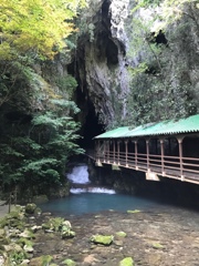 秋芳洞